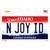 N Joy ID Idaho Novelty Sticker Decal