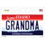 Grandma Idaho Novelty Sticker Decal