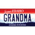 Grandma Idaho Novelty Sticker Decal
