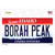 Borah Peak Idaho Novelty Sticker Decal