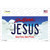 Jesus South Dakota Novelty Sticker Decal
