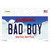 Bad Boy South Dakota Novelty Sticker Decal