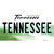 Tennessee Green Volunteer State Novelty Sticker Decal