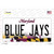 Blue Jays MD Novelty Sticker Decal
