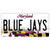 Blue Jays MD Novelty Sticker Decal