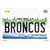 Broncos MI Novelty Sticker Decal
