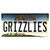 Grizzlies MT Novelty Sticker Decal