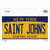 Saint Johns NY Novelty Sticker Decal