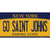 Go Saint Johns NY Novelty Sticker Decal