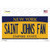 Saint Johns Fan NY Novelty Sticker Decal