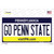 Go Penn State PA Novelty Sticker Decal