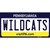 Wildcats Pennsylvania PA Novelty Sticker Decal