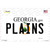 Plains Georgia Novelty Sticker Decal
