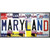 Maryland Strip Art Novelty Sticker Decal