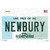 Newbury New Hampshire Novelty Sticker Decal