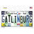 Gatlinburg License Plate Art Novelty Sticker Decal