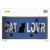 Cat Lover Blue Brushed Chrome Novelty Sticker Decal
