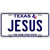Jesus Texas Novelty Metal License Plate