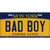 Bad Boy New York Metal Novelty License Plate