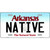 Native Arkansas Metal Novelty License Plate