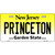 Princeton New Jersey Metal Novelty License Plate