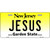 Jesus New Jersey Metal Novelty License Plate