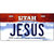 Jesus Utah Metal Novelty License Plate