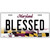 Blessed Maryland Metal Novelty License Plate