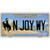 N Joy WY Wyoming Metal Novelty License Plate