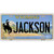 Jackson Wyoming Metal Novelty License Plate
