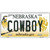 Cowboy Nebraska Metal Novelty License Plate