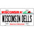 Wisconsin Dells Wisconsin Metal Novelty License Plate