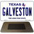 Galveston Texas Novelty Metal Magnet M-9375