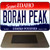 Borah Peak Idaho State Metal Novelty Magnet M-9899