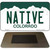Native Colorado Metal Novelty Magnet M-9910
