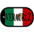 Veracruz Mexico Flag Metal Novelty Dog Tag Necklace DT-3439