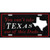 Texas Dude Novelty Metal License Plate