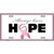 Always Have Hope Metal Novelty License Plate Sign