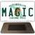Magic Florida State License Plate Tag Magnet M-2584