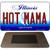 Hot Mama Illinois State License Plate Tag Magnet M-10301
