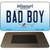 Bad Boy Missouri State License Plate Tag Magnet M-10274