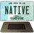 Native New Hampshire State License Plate Tag Magnet M-11167