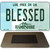 Blessed New Hampshire State License Plate Tag Magnet M-11168