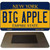 Big Apple New York State License Plate Tag Magnet M-8949