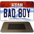 Bad Boy Utah State License Plate Tag Magnet M-10222