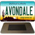 Avondale Arizona State License Plate Tag Magnet M-8655