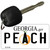 Peach Georgia State License Plate Tag Novelty Key Chain KC-6149