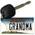 Grandma Montana State License Plate Tag Novelty Key Chain KC-11103