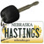 Hastings Nebraska State License Plate Tag Novelty Key Chain KC-10607