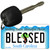 Blessed South Carolina License Plate Tag Key Chain KC-2780